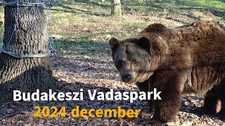 A Budakeszi Vadaspark télen 2024 december