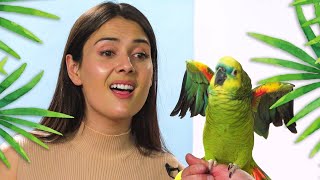 Patti Reviews Exotic Animals: Blue-Fronted Amazon Parrot