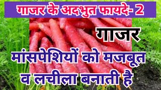 Adbhut benefits of carrot | गाजर के खास फायदे | जोड़ों मांसपेशियों को मजबूत बनाने वाली सब्जी |