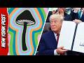 Trump Fast Tracks Psychedelic Drug Research