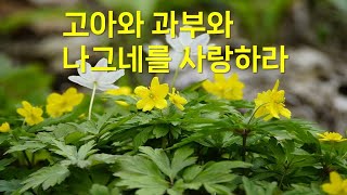 고아와 과부와 나그네를 사랑하라