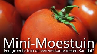 Hornbach mini-moestuin. Een vierkante meter mini-moestuin.