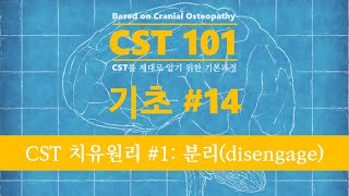 CST 101 #14 CST 치유원리 #1: 분리(Disengage)