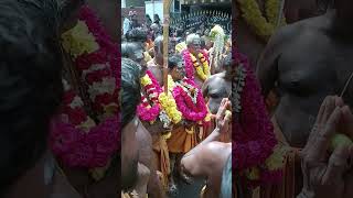 ஆலந்தூர் ஸ்ரீ ரேணுகா வேம்புலி அம்மன் ஆலயம் தீ மிதி திருவிழா