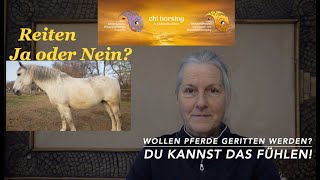 Reiten! Ist jedes Pferd geeignet oder einverstanden? Übergehe die Zeichen nicht!