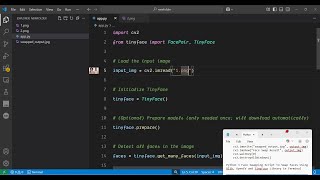 Python 3 Face Swapping Script to Swap Faces Using Dlib, OpenCV and TinyFace Library in Terminal
