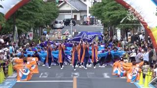 武州武蔵2016「一心」｜浦和よさこい（南浦和駅東口B会場）