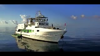 MY STELLA MARIS LIVEABOARD - scuba diving holiday in Philippines | DIVE THE WORLD