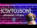 EXPRESS JS :  BEGINNER CSVTOJSON