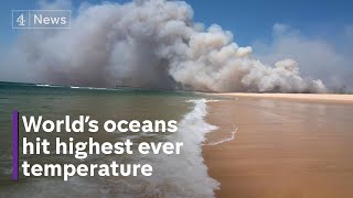 Ocean temperatures rise to new record high