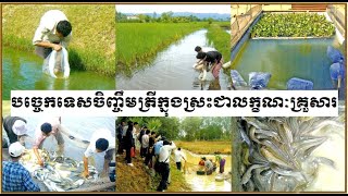 បច្ចេកទេសចិញ្ចឹមត្រីក្នុងស្រះជាលក្ខណៈគ្រួសារ Fish Raising Technique