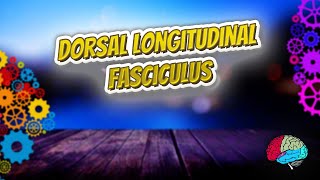 Dorsal longitudinal fasciculus - Know It ALL 🔊✅