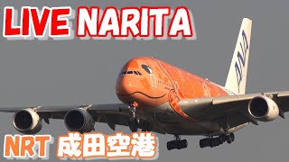 🔴LIVE at NARITA International Airport Plane Spotting　2024.12.04 成田空港ライブカメラ 成田空港　NRT/RJAA