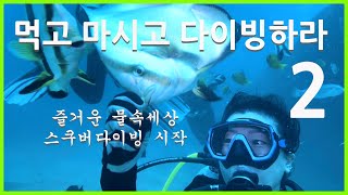 먹고 마시고 다이빙하라 2 - 즐거운 물속세상