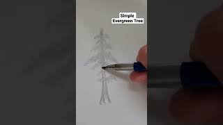 How to Draw an Evergreen Tree