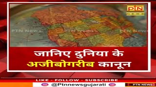 જાણો દુનિયાના અજીબો ગરીબ નિયમો - जानिए दुनिया के अजीबोगरीब कानून - Ajab Gajab - #Shorts  - PTN News