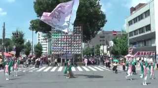 くまがや鳴子会 熊舞「コバトンよさこい」　うちわ祭りdeパフォーマンス2015