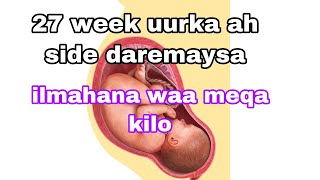 27 weeks uurka ah waside ilmahana inte ayeey le egyihiin misan kooda