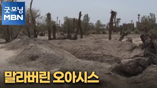 [굿모닝월드] 말라버린 오아시스 [굿모닝 MBN]