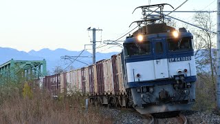 JR貨物 EF64-1020牽引 83ﾚ A81･A82 ( 南松本･篠ノ井⇒北長野 ) JR信越本線 川中島～安茂里 区間