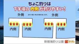 【年間200日以上釣りに出掛けてるリアルな釣り動画】浜名湖新居海釣公園は楽しい釣り場です。