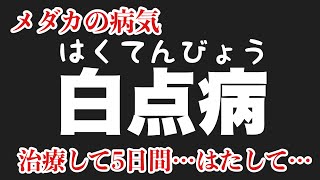 【めだか】メダカの病気　白点病【めだか飼育】【治し方】