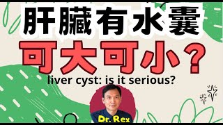 肝裏面有水囊? 醫生不會告知你的事 liver cyst: is it a serious problem?