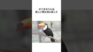 【遭遇したら逃げて！】実は危険な動物の雑学 #shorts #雑学