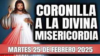 CORONILLA A LA DIVINA MISERICORDIA DE HOY MARTES 25 DE FEBRERO 2025 - EL SANTO ROSARIO DE HOY