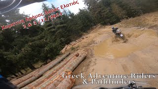 ΔΑΣΟΣ ΕΛΑΤΙΑΣ  ΔΡΑΜΑ 2024 ΧΩΜΑΤΙΝΗ  ΒΟΛΤΑ με Greek Adventure Riders PathFinders BMW R1250GSAdventure