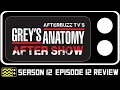 Grey's Anatomy Season 12 Episode 12 Review & After Show | AfterBuzz TV