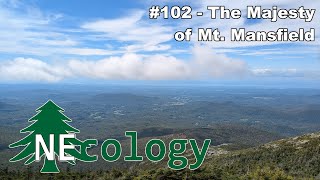 NEcology #102 - The Majesty of Mt. Mansfield