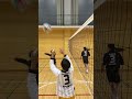 【バレー】みんなのbクイック🔥 shorts volleyball haikyuu