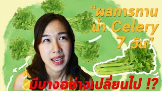 ผลการทานน้ำ Celery  7 วัน | มีอะไรที่คาดไม่ถึงเกิดขึ้น !? |