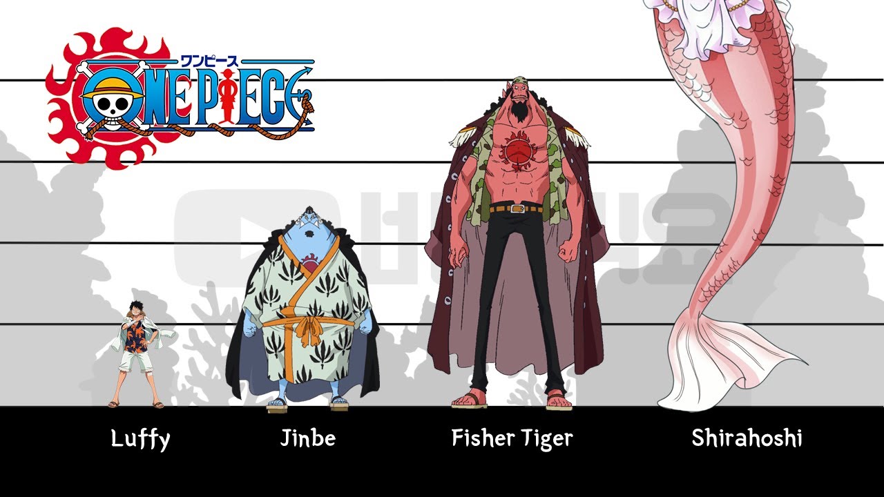 Size Comparison Of One Piece Characters From The Official 49 Off Size Comparison Of One Piece Characters From The Official 49 Off
