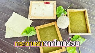 ชวนนักท่องเที่ยวทำกระดาษสาจากใบเมล่อน