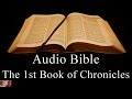 The First Book of Chronicles - NIV Audio Holy Bible - High Quality and Best Speed - Book 13