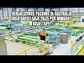 PENGALAMAN KERJA (WHV) CITRUS PACKING DI AUSTRALIA & TAX RETURN PERTAMAKU SETELAH KERJA 5 BULAN