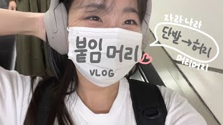 [Vlog] 붙임머리 브이로그 I 단발에서 허리 기장까지