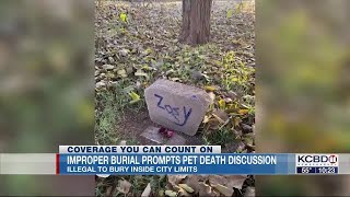 Improper burial prompts pet death discussion