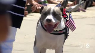 Patriotic pups parade through Avila Beach