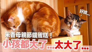 米香：好像把小貓養太胖了...米香的母親節蛋糕【貓副食食譜】好味貓鮮食廚房EP146