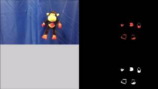 Monkey Segmentation 1