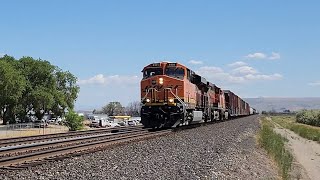 40 MPH BNSF Manifest Train with KCS EX BNSF Dash-9 44CW at Cushman Siding (Fallbridge Subdivision)