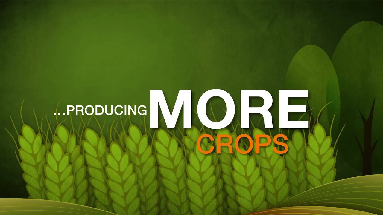 Smart Farming Youtube