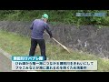 びわ湖のごみを海に流さない 日本財団 海と日本project in 滋賀県 2019 10