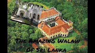 The Amazing Walaw Of Sri Lanka