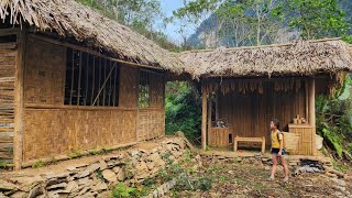 The poor girl lives in a shabby house and goes to harvest corn to sell - Homeless Boy VN