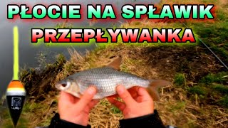 PŁOCIE NA SPŁAWIK! PRZEPŁYWANKA! MAŁA RZEKA?