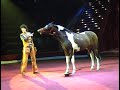 Yakubovskie.ru Comic Cowboy Horse Moscow Circus, Цирковой номер Комический Ковбой Якубовские